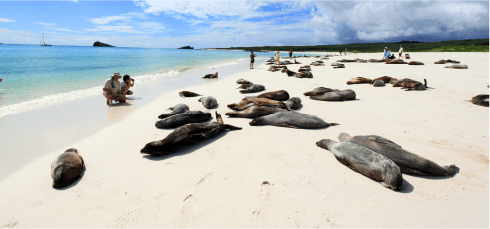 Galapagos travel