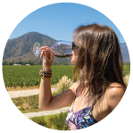 Wine tasting in vineyard